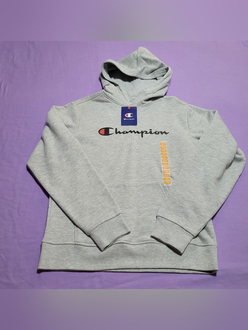 Kids Champion Light Gray Hoodie (Size 18/20) NWT